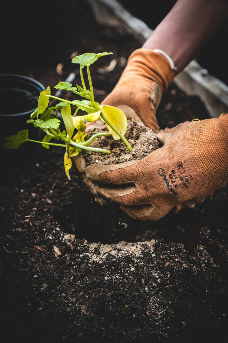 tree planting