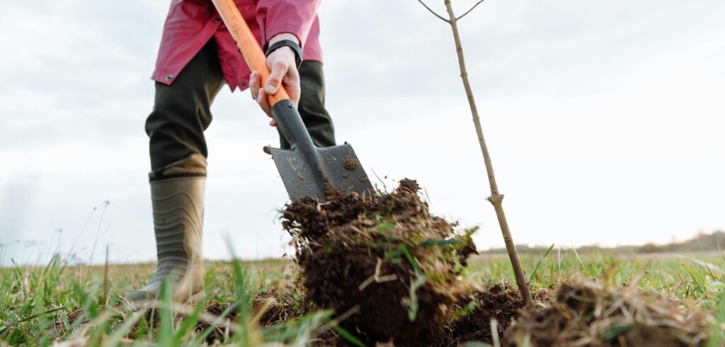 Projects to Improve Farming Techniques